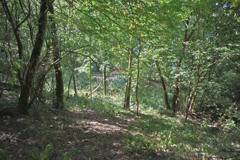 Na predaj pozemok pri rybníku Veterník v Kremnici - 3