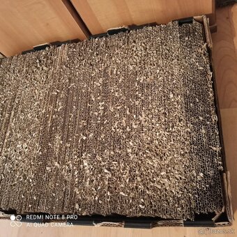 Šrabadlo pre mačky - 3