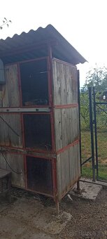 Zajačnik králikareň - 3