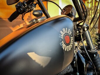 Harley Davidson Sportster Iron 883 , VP A2 - 3