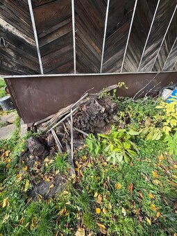 Darujem drevo za odvoz - 3