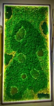 Machový obraz s podsvietením - 3