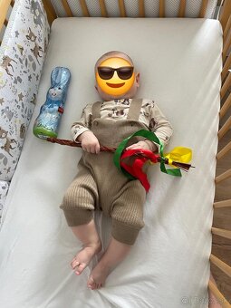 Sviatočná súprava s lesnými zvieratkami 62 - 3