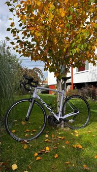 Specialized Allez Elite - 3