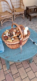 Kosik na huby - 3