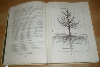 Štepenie, očkovanie a preštepovanie drevín - 3