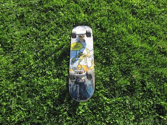 Skateboard - 3