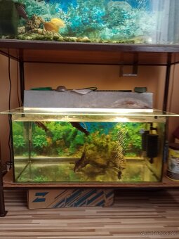 Akvarium - 3