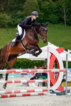 6 ročná kobyla - Madlen RUF - 3