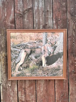 Živé Obrazy - Fotografia na platne - 3