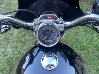 Harley Davidson XL1200C Sportster Custom - 3