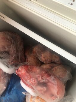 Predám zajačie mäso - posledné 5 kusov - 3
