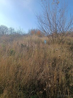 ENCS - Abaújdevecser - Dom v Maďarsku  40 min. od Košíc - 3