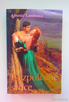 Rozpoltené srdce. - 3