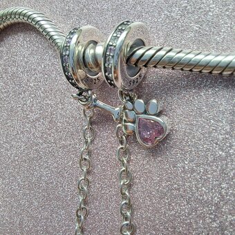 Bezpečnostná retiazka Labka - 3