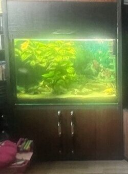 Predám akvarium - 3