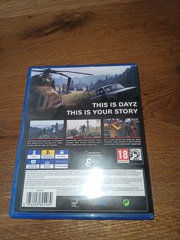 Dayz ps4 hra - 3