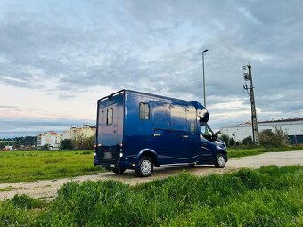 Prepravník koní Renault Master 5-miestny ATM / Automat NOVE - 3