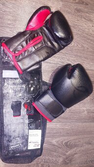 Boxerské rukavice Energetics - 3