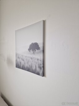 Obraz na platne - 3