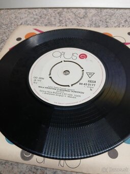 Nora BLAHOVÁ - Malá krížovka s modrou tajničkou / Modrý džbá - 3