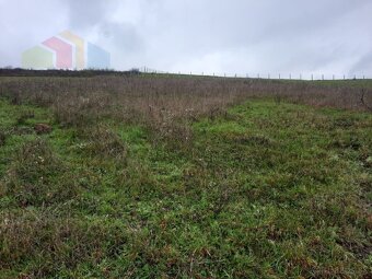 Pozemok na výstavbu, 4770 m2 - Dolný Lieskov (okr. Pov. By - 3