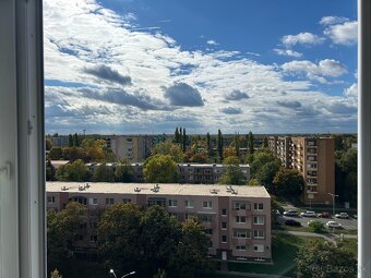 Prenajom Garzonka - Komarno bez Provizie - 3