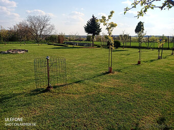 Prenajmem zahrahu v Nitre, časť Lukov Dvor - Parovske Haje - 3