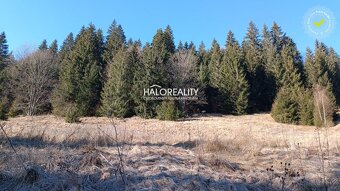 HALO reality - Predaj, rekreačný pozemok Nižná Boca, pod Čer - 3