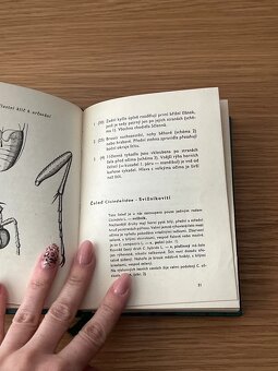 kapesní atlas brouků - vladimír javorek - 3