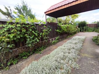 Predám rodinný dom v meste Levice, širšie centrum - 3