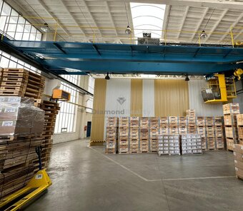 Na prenájom 5000 m2 hala Lužianky - 3