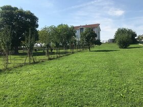 Slnečný stavebný pozemok 13km od Piešťan - DOHODA MOŽNÁ - 3