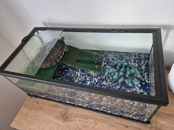 Korytnačka + akvarium - 3