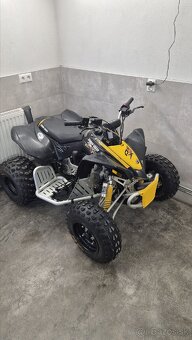 Can am DS 90 - 3