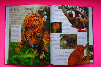 Detské knihy za 1 EUR. ♥    ::. - 3