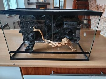 Terarium - 3