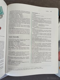 Anatómia čihák 1,2,3 - 3