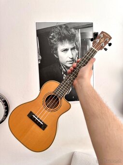 Predám elektro akustické ukulele Alvarez AU70WCCE - 3