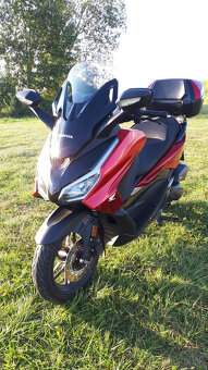 Honda Forza 125 2024 - 3