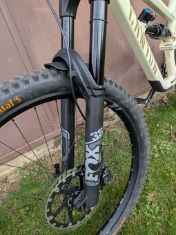 Canyon Torque Mullet AL - 3