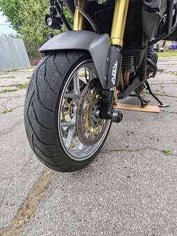 Triumph Tiger 1050, 2010 - 3