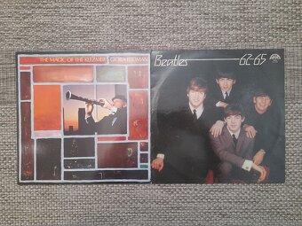 LP Vinyl platne - 3