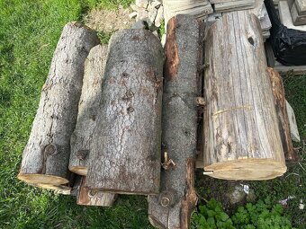 Predám kmene smrek - 3