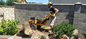 Frézovanie pňov, odstránenie pňov po výrube, arboristika - 3