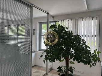 Administratívne priestory v STAROM MESTE na PRENÁJOM - 3