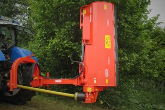 Maschio - 3