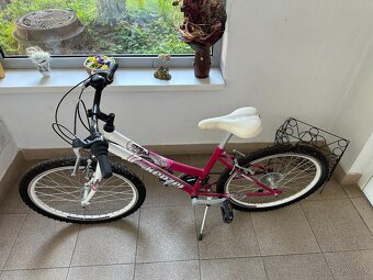 dievčenský bicykel ( junior ) - 3