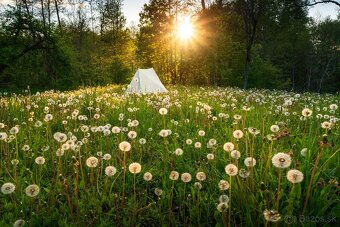 Záujem o kúpu slnečného pozemka na samote - 3
