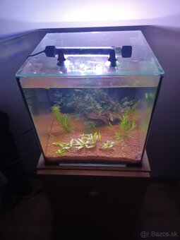 Akvarium 30x30x30cm - 3